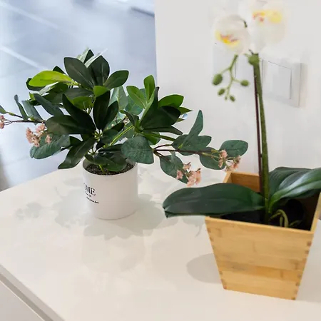 Mar T2 Apartment *